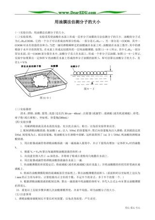 高中物理第二册用油膜法估测分子的大小