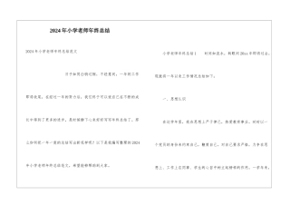 2024年小学教师年终总结