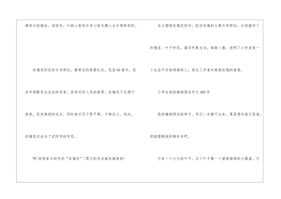 2024年小学生我的植物朋友作文300字左右8篇_第2页