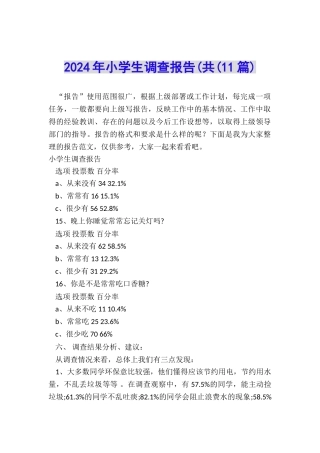 2024年小学生调查报告(共