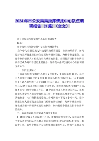 2024年市公安局局指挥情报中心队伍调研报告-