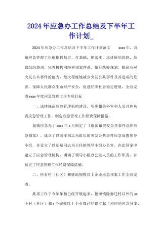 2024年应急办工作总结及下半年工作计划