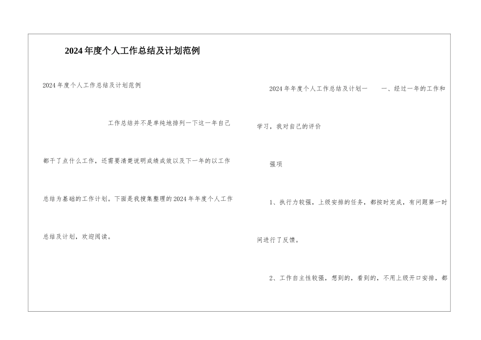2024年度个人工作总结及计划范例_第1页