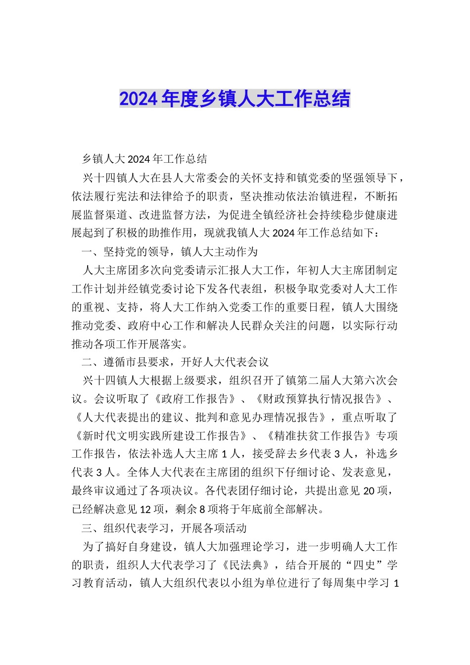 2024年度乡镇人大工作总结_第1页