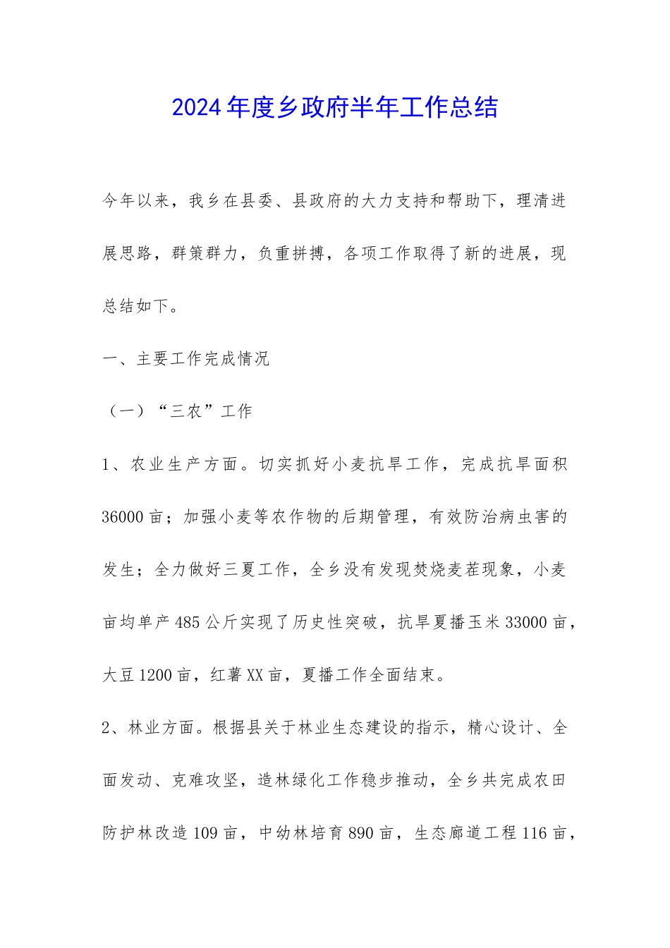 2024年度乡政府半年工作总结-_第1页