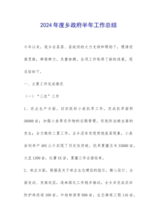 2024年度乡政府半年工作总结-