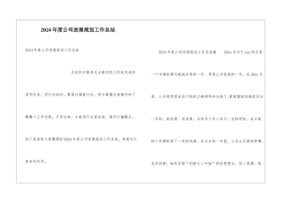 2024年度公司发展规划工作总结
