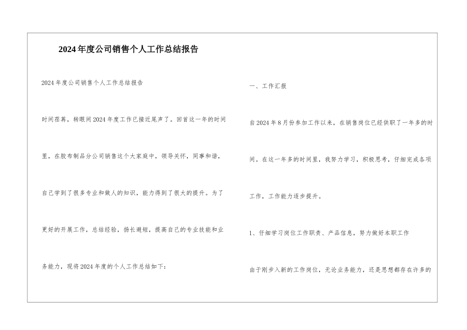 2024年度公司销售个人工作总结报告_第1页