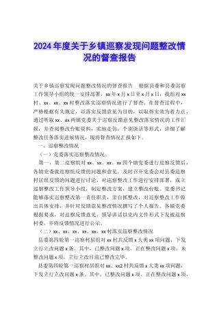 2024年度关于乡镇巡察发现问题整改情况的督查报告