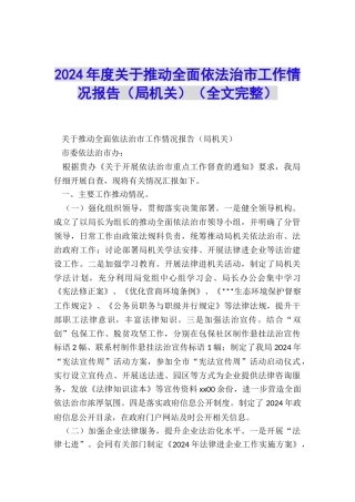 2024年度关于推进全面依法治市工作情况报告
