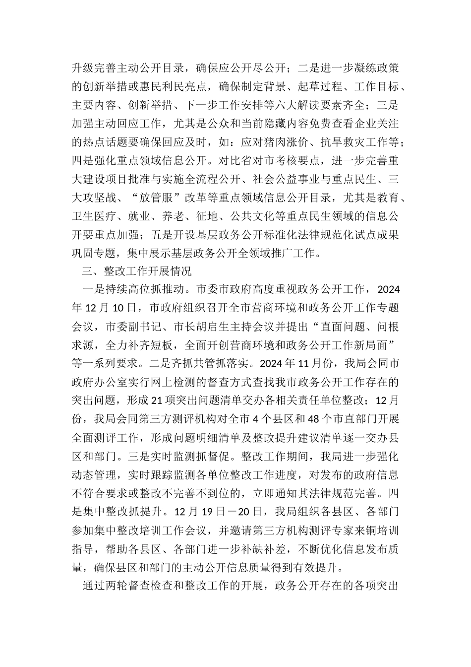 2024年度关于年度政务公开工作督查检查开展情况的总结_第3页