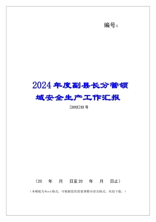 2024年度副县长分管领域安全生产工作汇报
