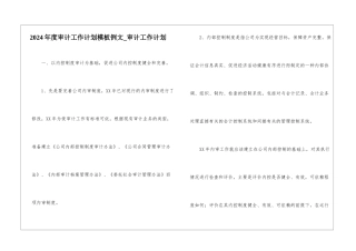 2024年度审计工作计划模板例文-审计工作计划