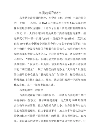 鸟类起源的秘密