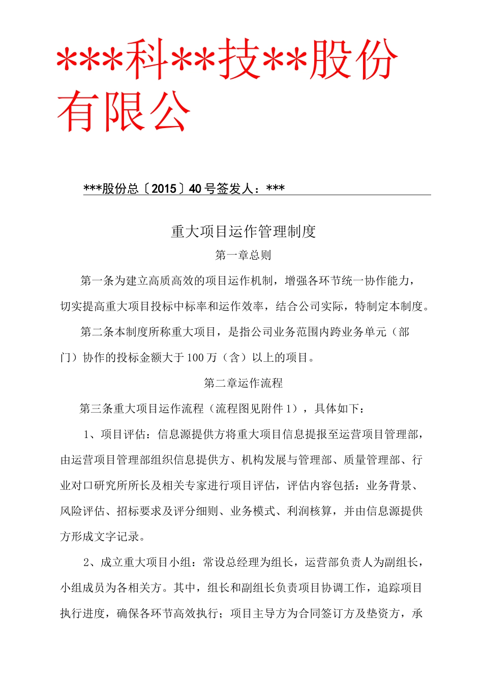 公司重大项目运作管理制度_第1页