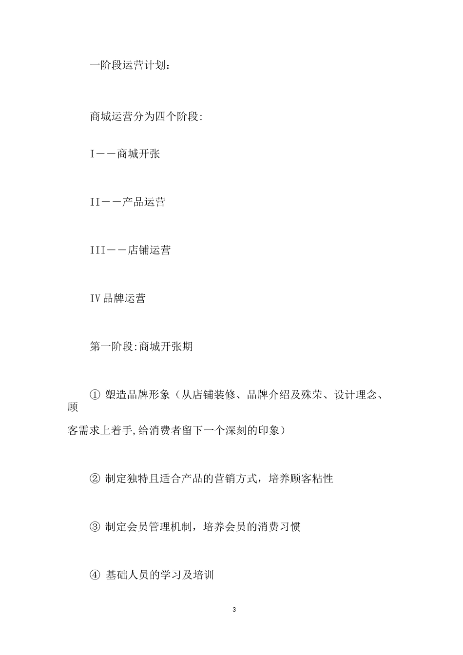 京东店铺运营计划书_第3页