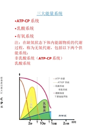 人体三大供能系统