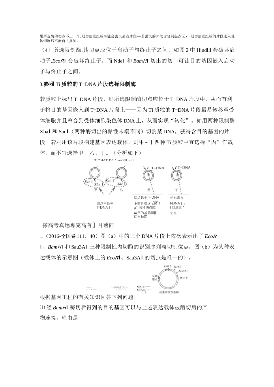 考点加强课5 基因表达载体构建中限制酶的选择原则_第3页