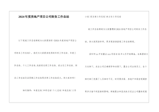 2024年度房地产项目公司财务工作总结