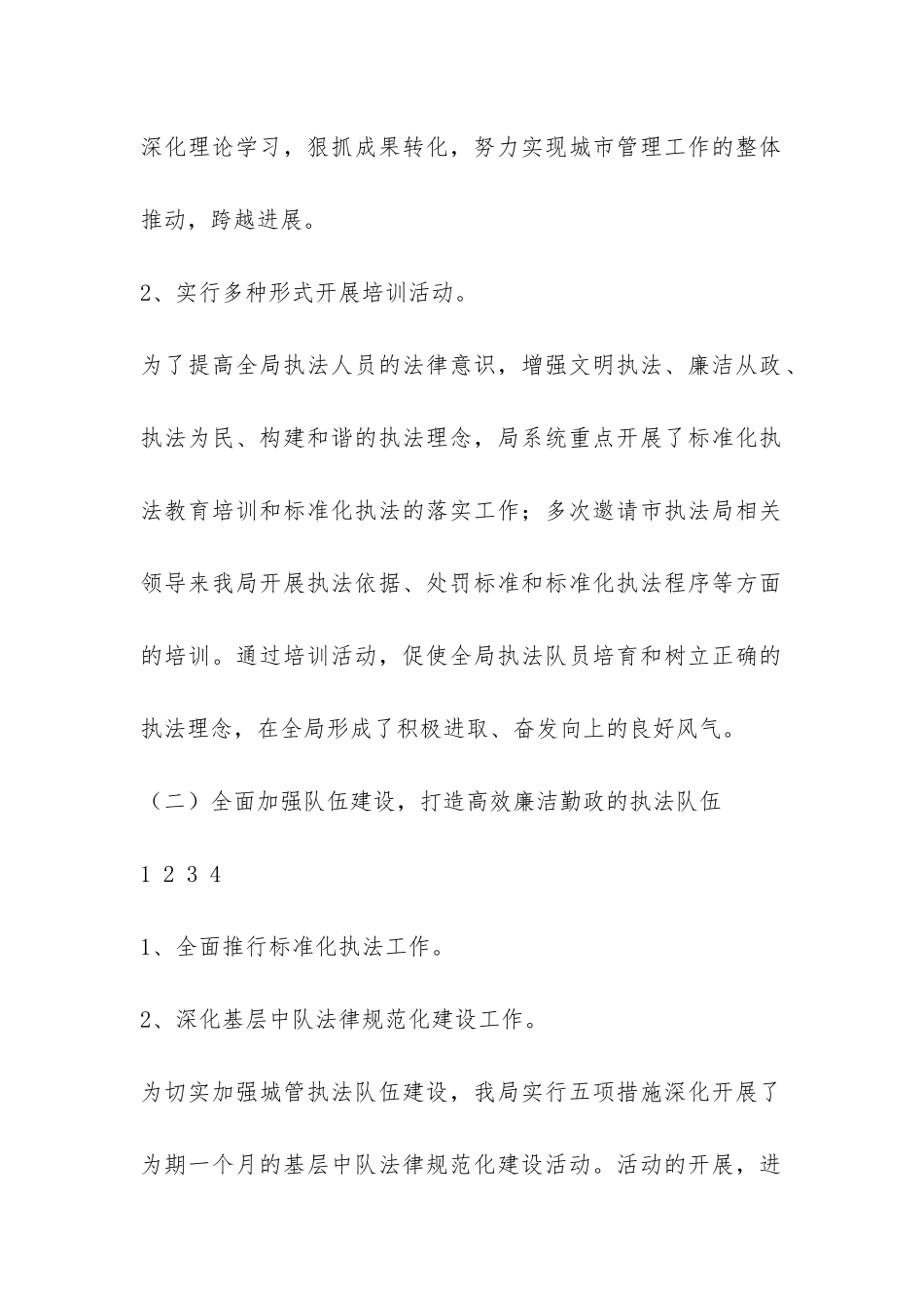 2024年度执法局工作总结-_第2页