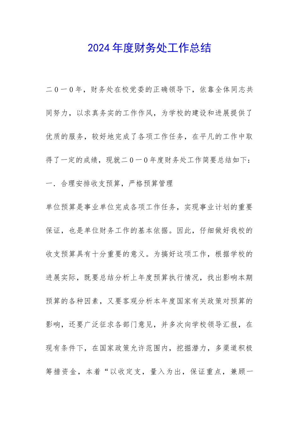 2024年度财务处工作总结-_第1页