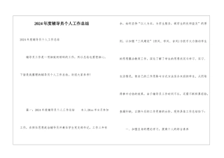 2024年度辅导员个人工作总结