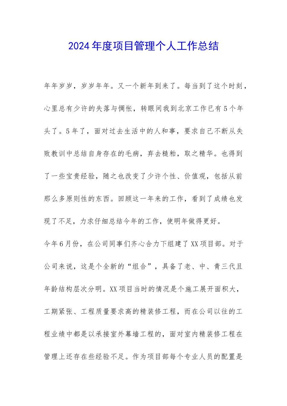 2024年度项目管理个人工作总结-_第1页