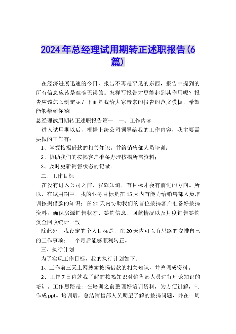 2024年总经理试用期转正述职报告_第1页