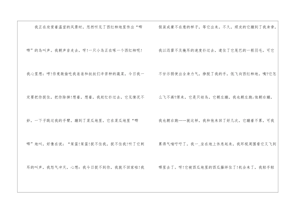 2024年我的暑假生活作文600字5篇_第2页