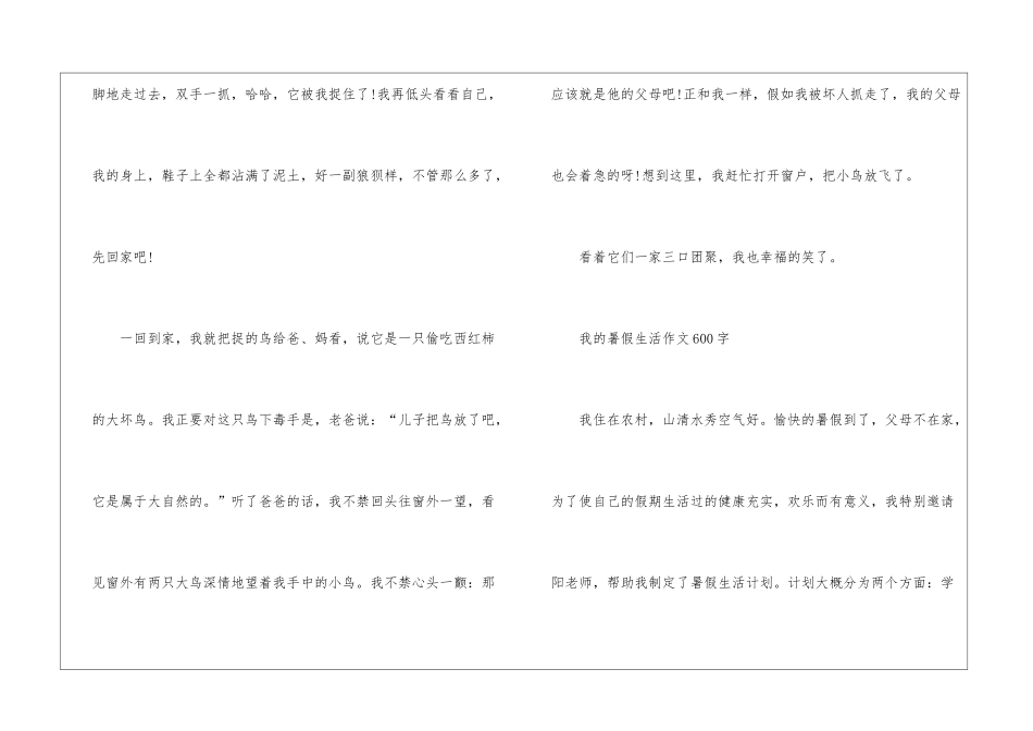 2024年我的暑假生活作文600字5篇_第3页