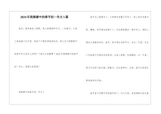 2024年我眼睛中的春节初一作文5篇