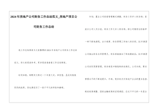 2024年房地产公司财务工作总结范文房地产项目公司财务工作总结