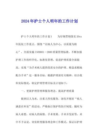 2024年护士个人明年的工作计划