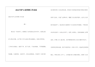 2024年护士试用期工作总结