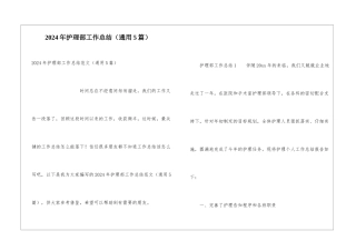 2024年护理部工作总结