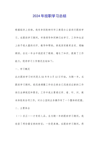 2024年挂职学习总结-
