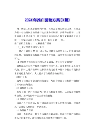 2024年推广营销方案