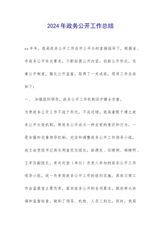2024年政务公开工作总结-