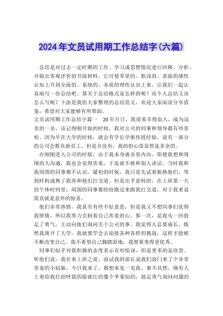 2024年文员试用期工作总结字