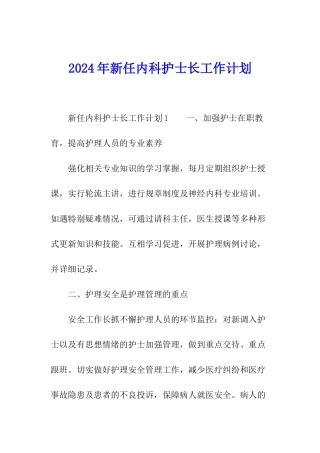 2024年新任内科护士长工作计划