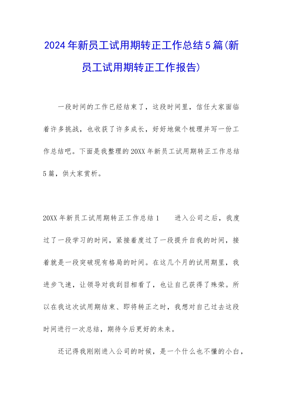 2024年新员工试用期转正工作总结5篇_第1页