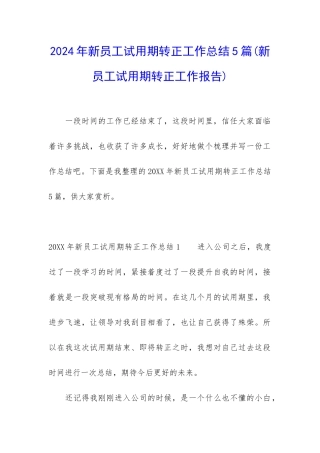 2024年新员工试用期转正工作总结5篇