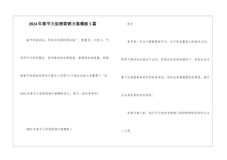2024年春节大促销营销方案模板5篇