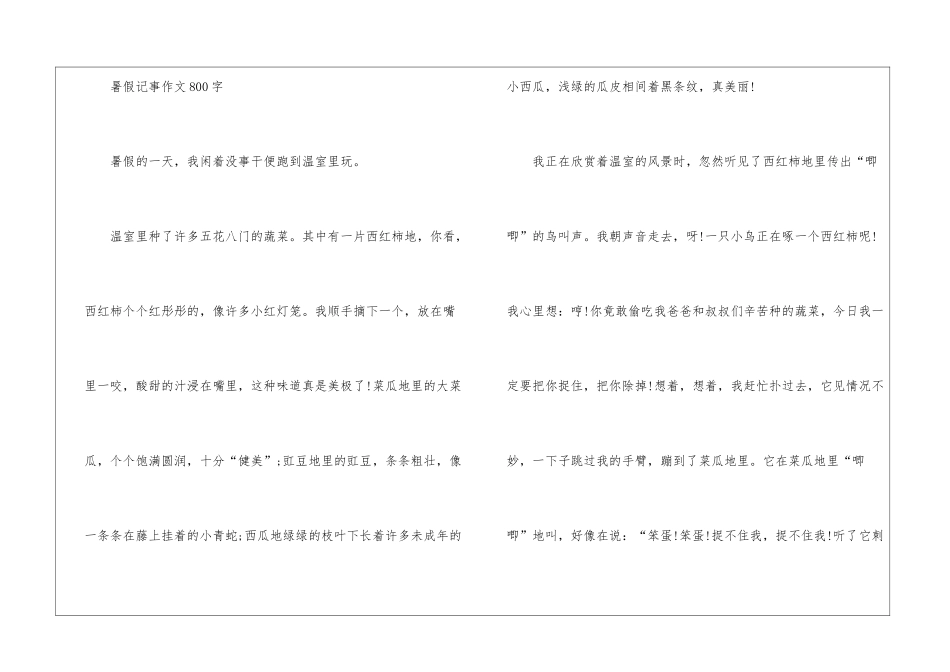2024年暑假记事作文800字5篇_第3页