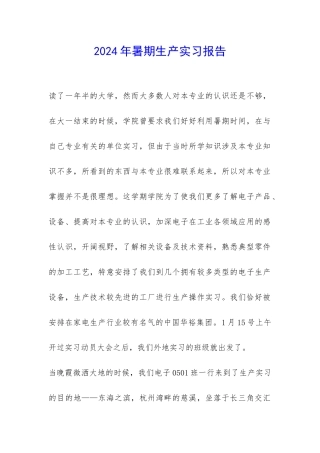 2024年暑期生产实习报告-