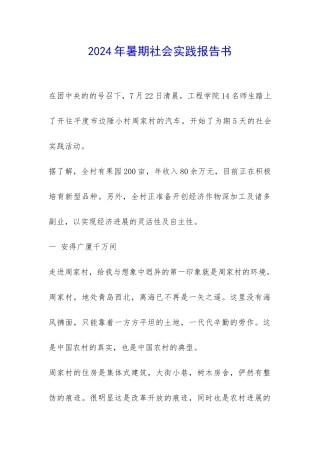 2024年暑期社会实践报告书-