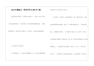 2024年最新五一劳动节作文800字5篇