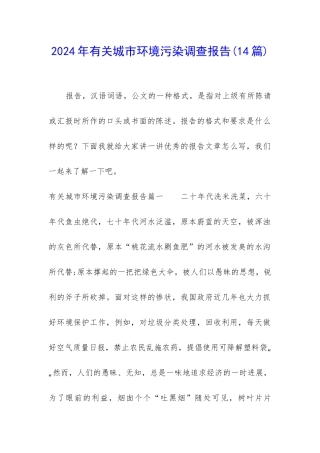 2024年有关城市环境污染调查报告