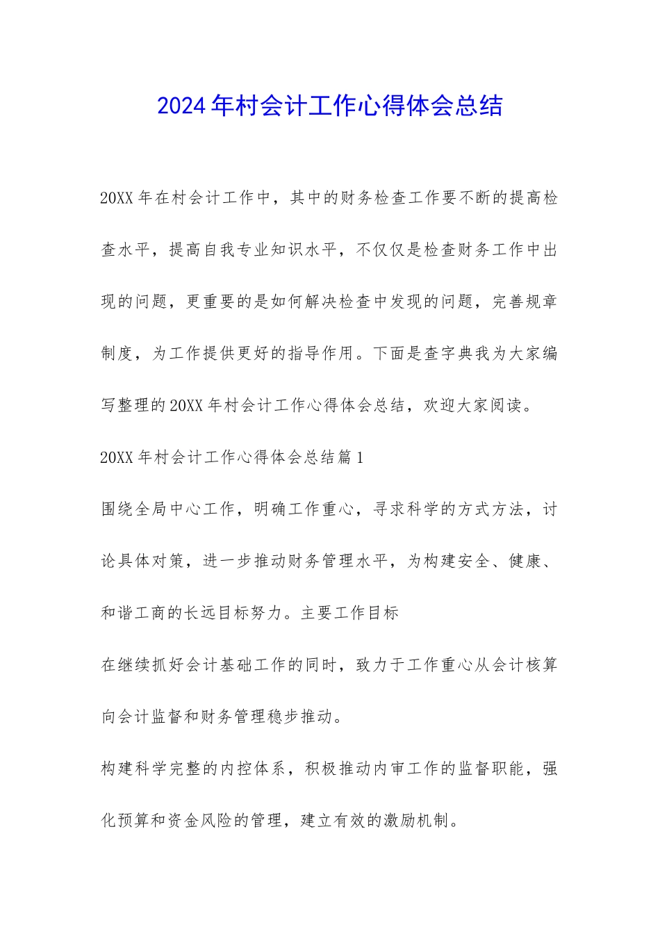 2024年村会计工作心得体会总结-_第1页