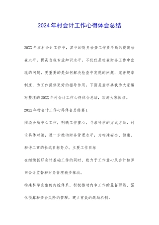 2024年村会计工作心得体会总结-